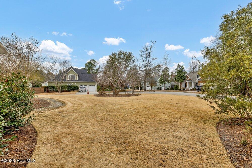 100555857 | Photo 50