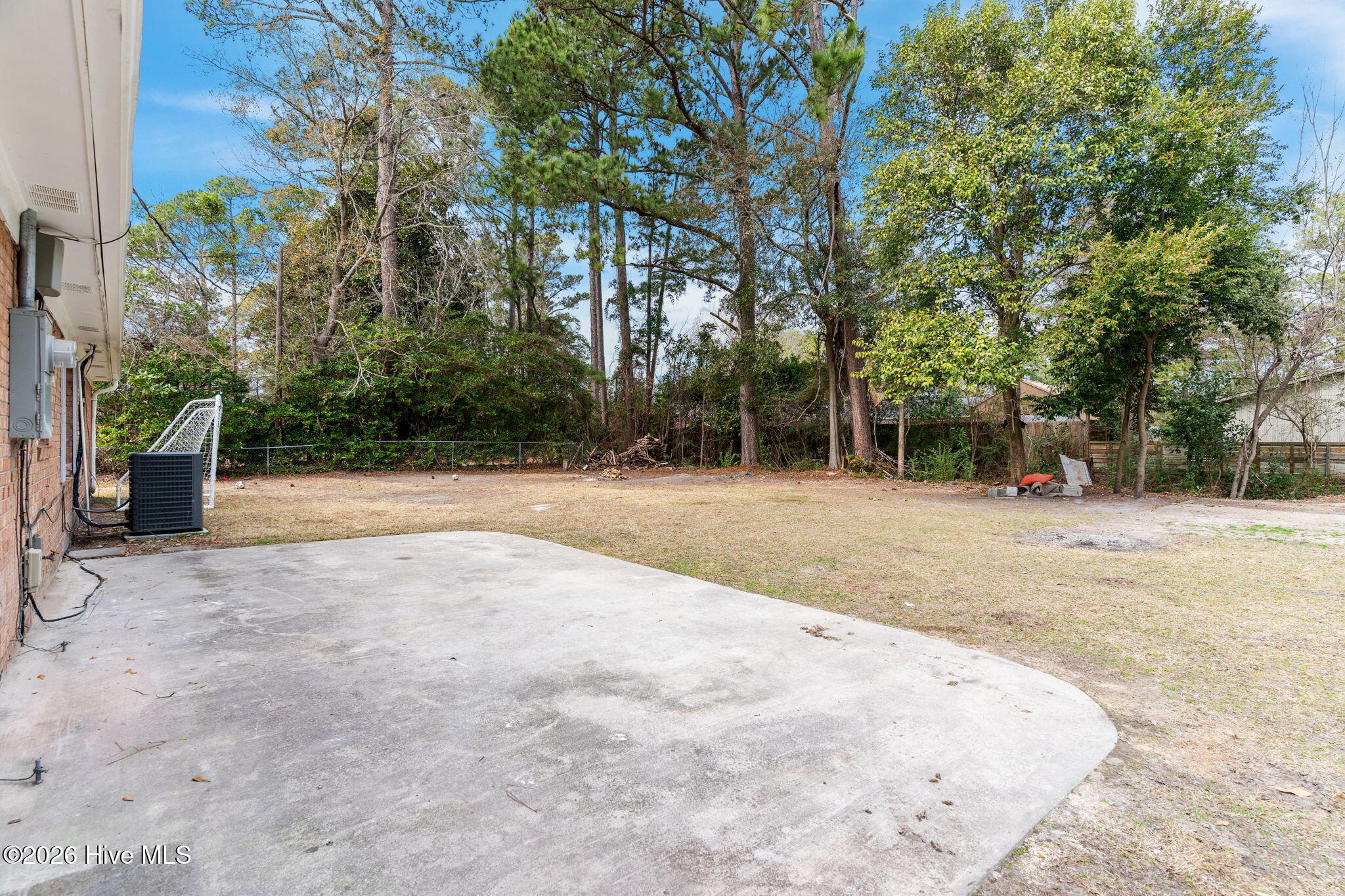 100557122 | Photo 30