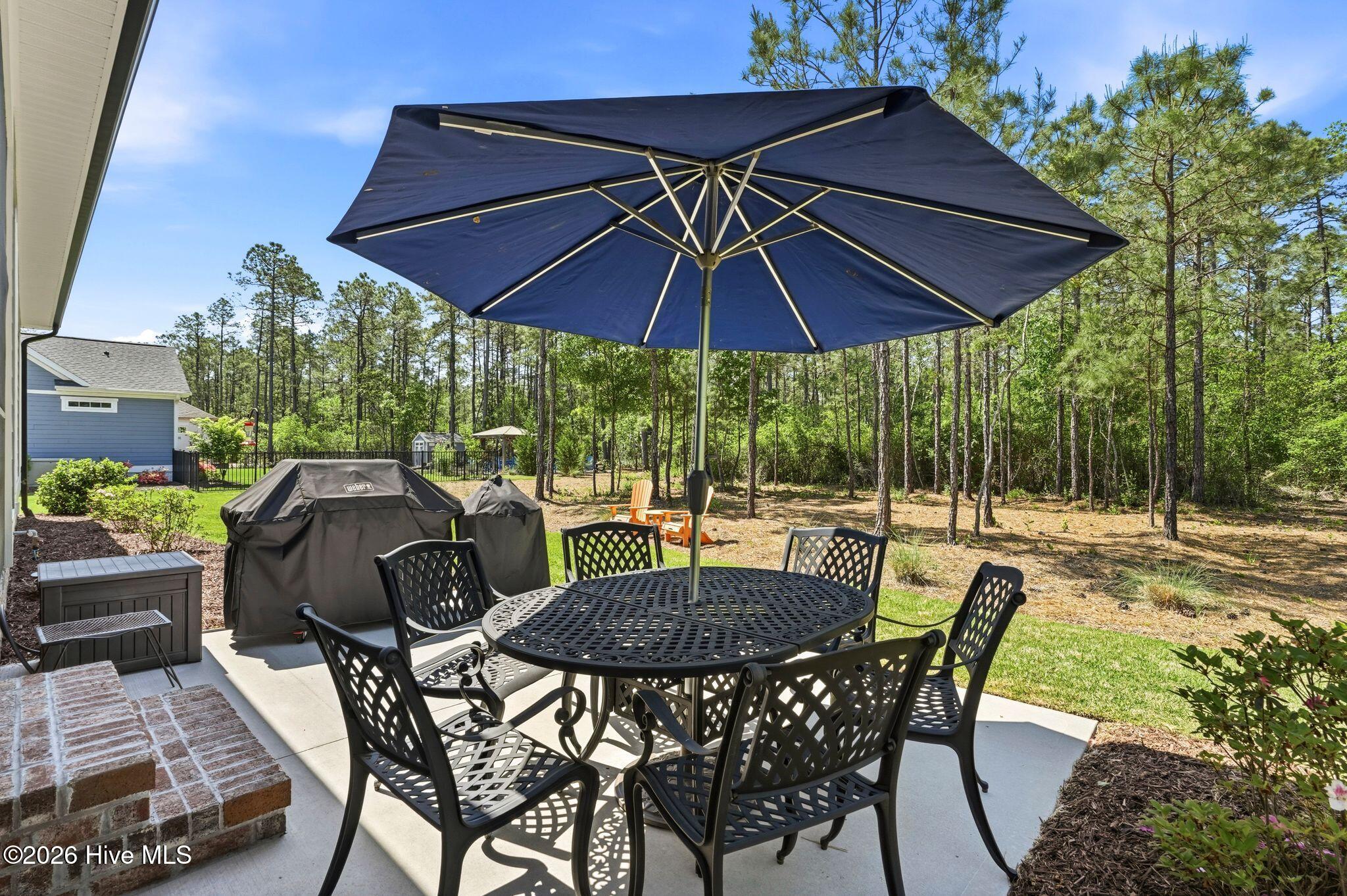 100569004 | Photo 59