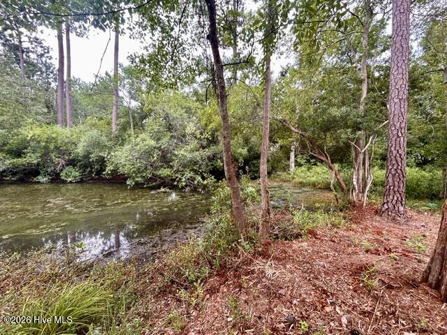 106 Lakeside Green Drive,New Bern