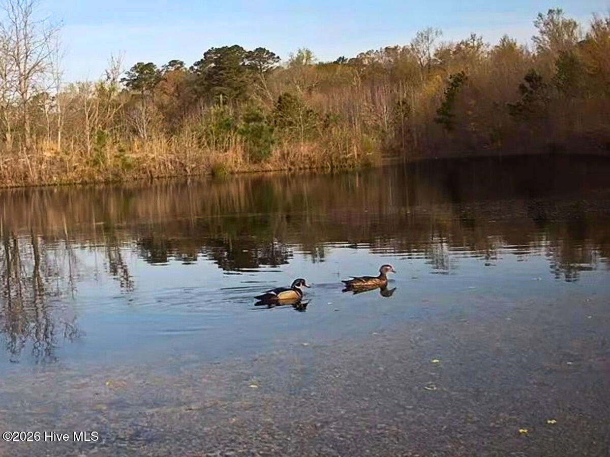 0 Durwood Evans Road, Beulaville, NC, 28518