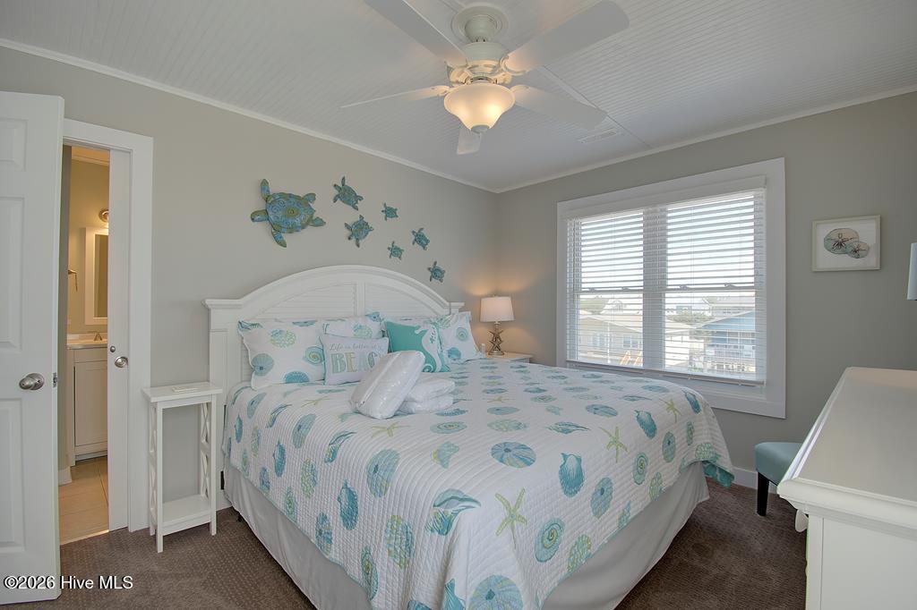 100556591 | Photo 37