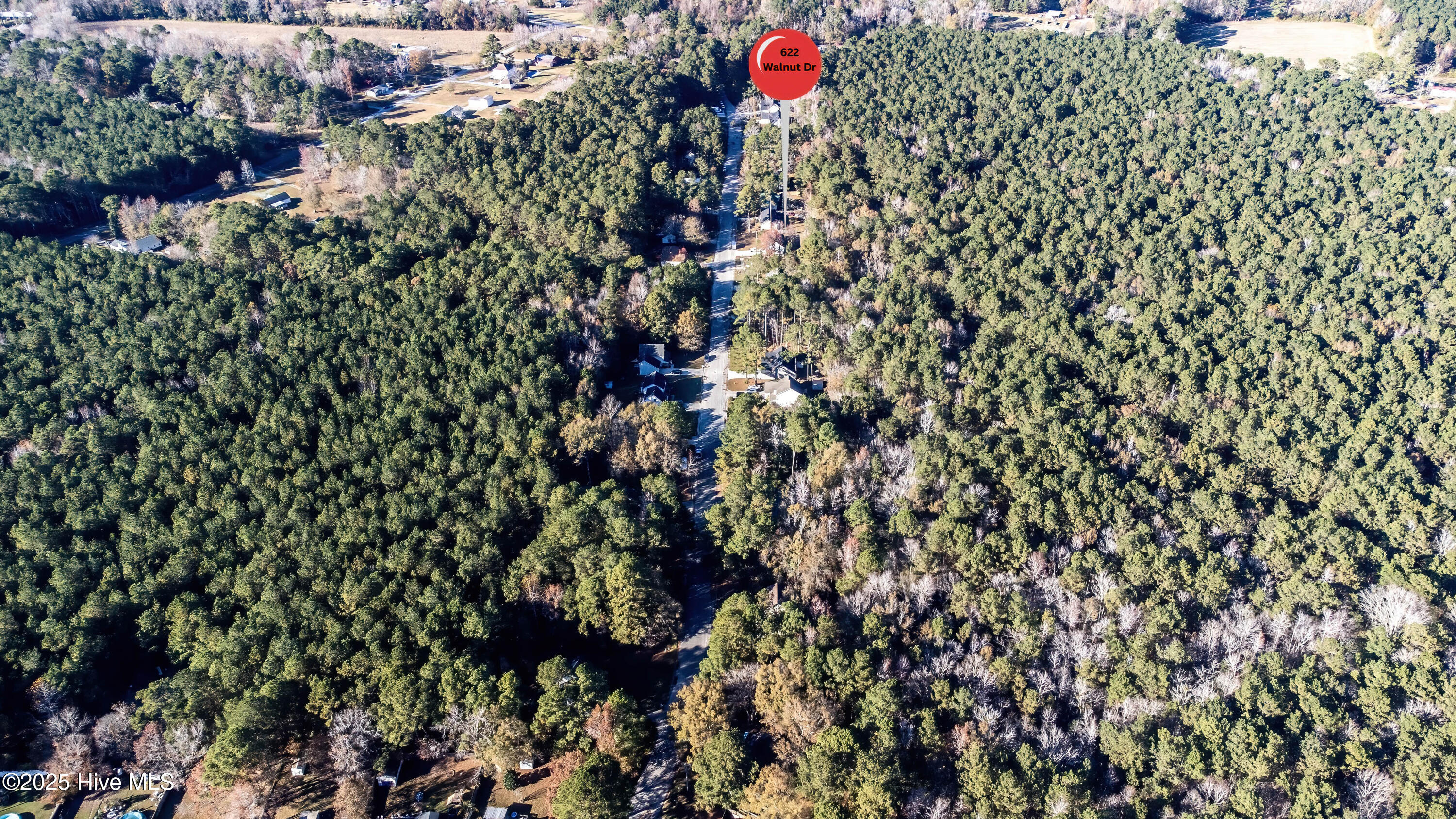 100538278 | Photo 54