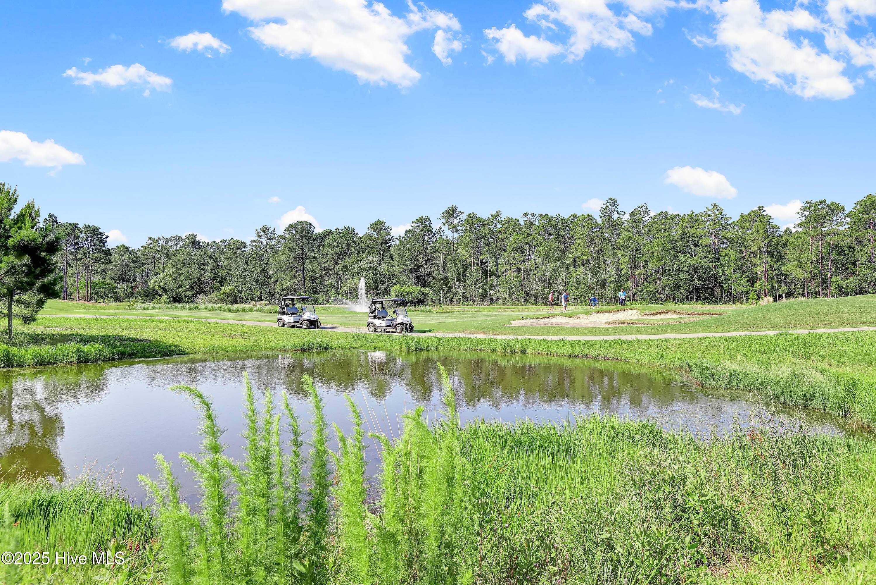 100498596 | Photo 30