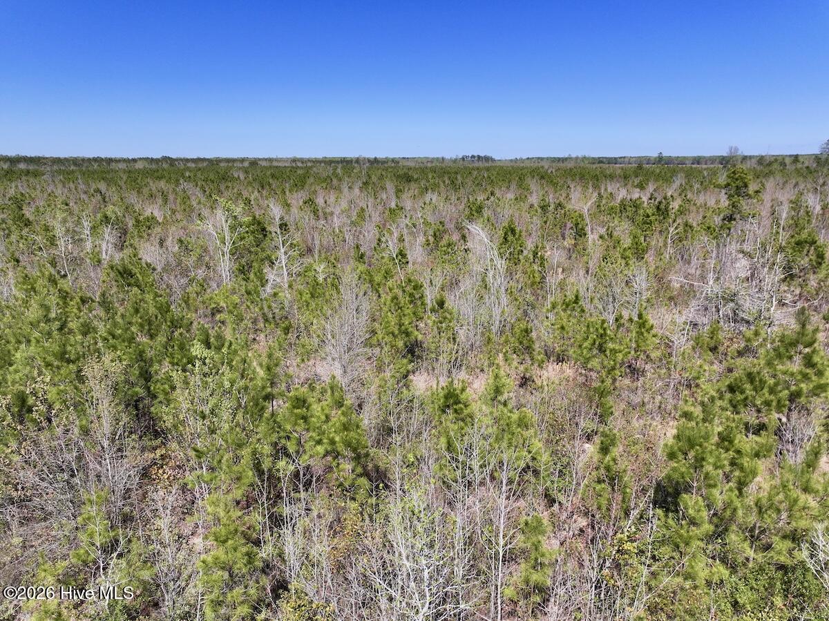 0 Guinea Mill Road, Ernul, NC, 28527