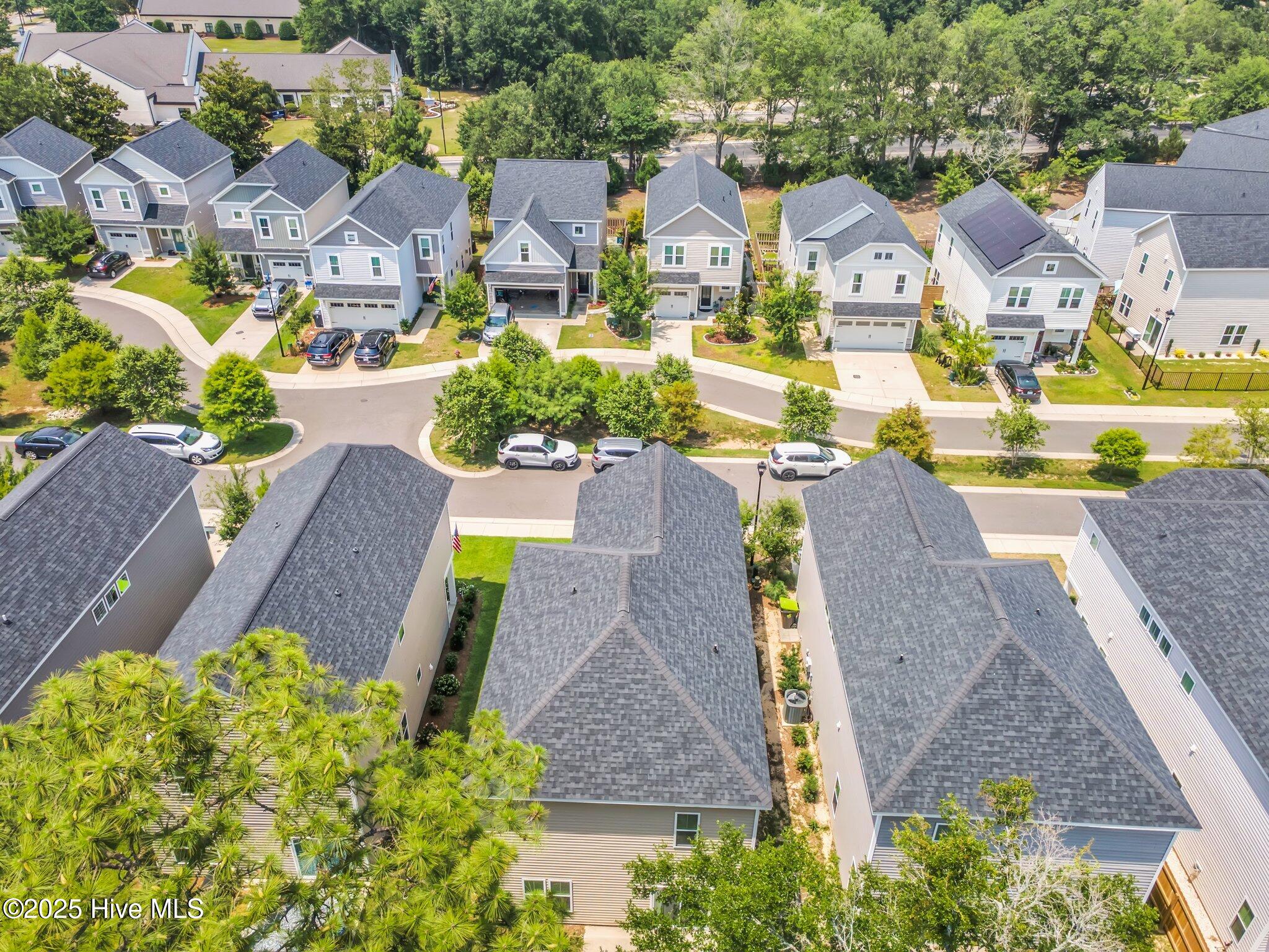 100556844 | Photo 22