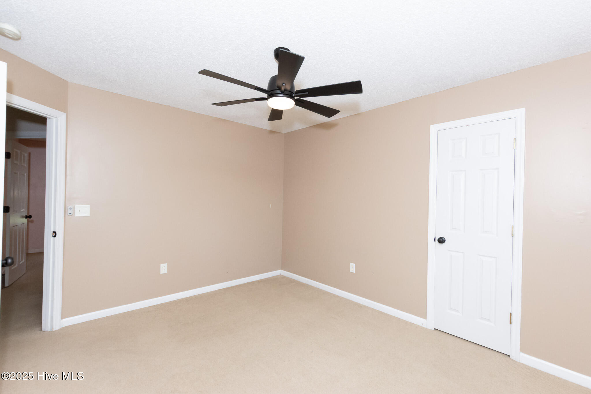 100554866 | Photo 35