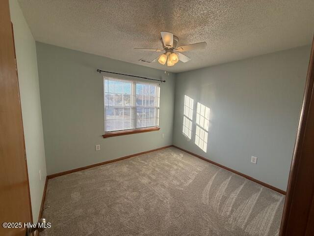 100523436 | Photo 16