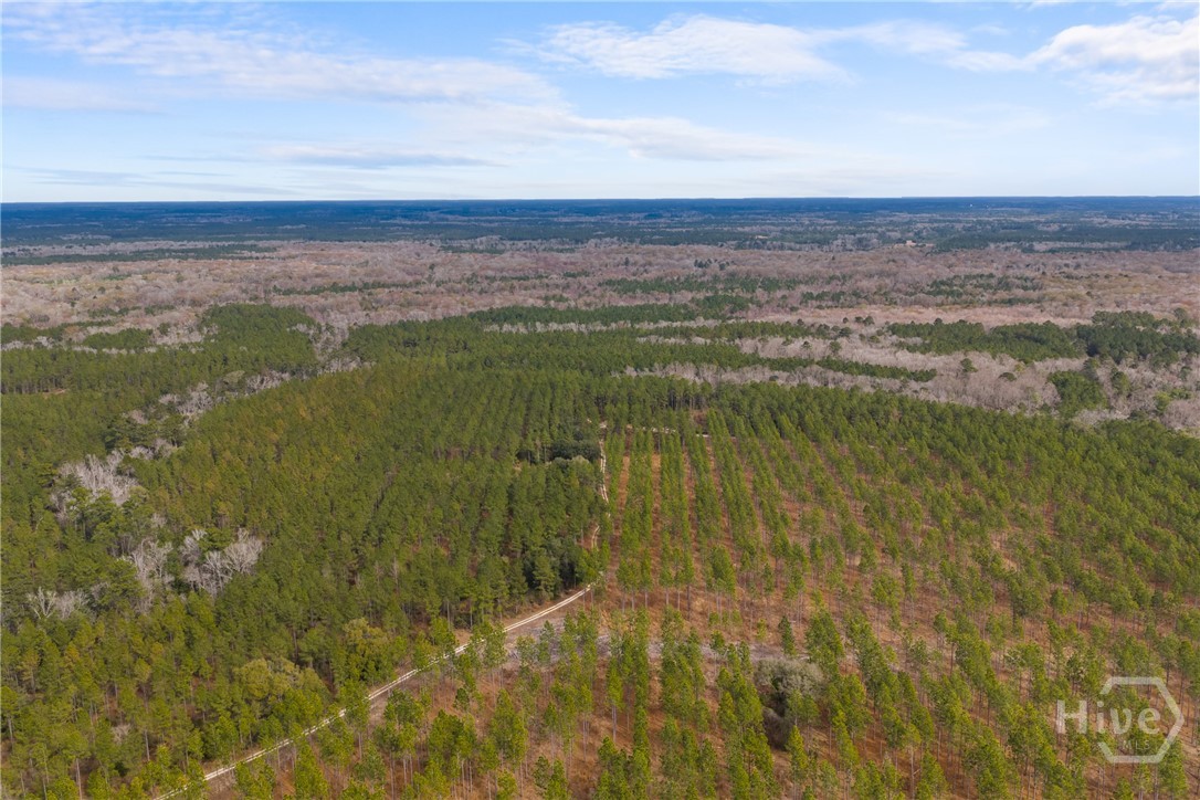 1000 Old River Road S, Brooklet, GA, 30415