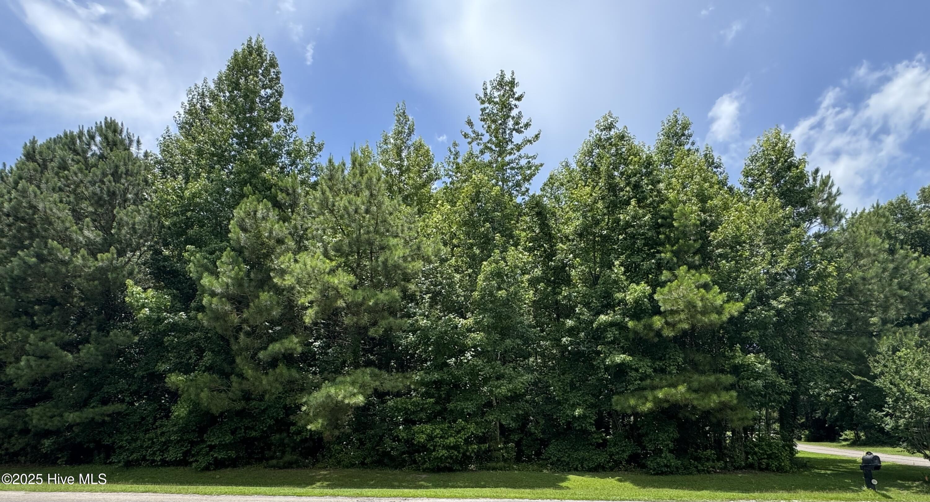 Homes for sale in Whiteville, NC | 263 Whites Crossing Ln, Whiteville, NC 28472 | MLS# 100517363