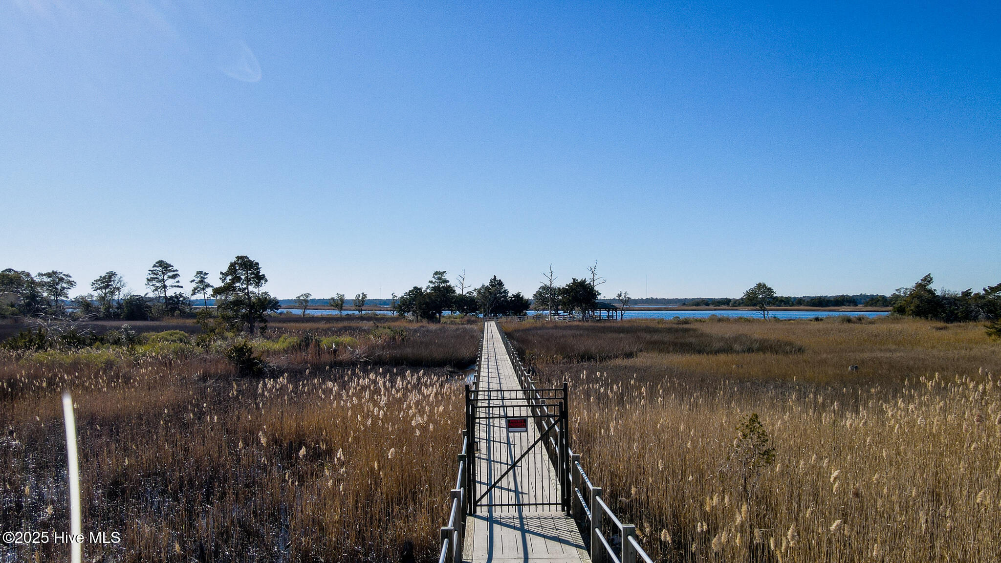 100565746 | Photo 14