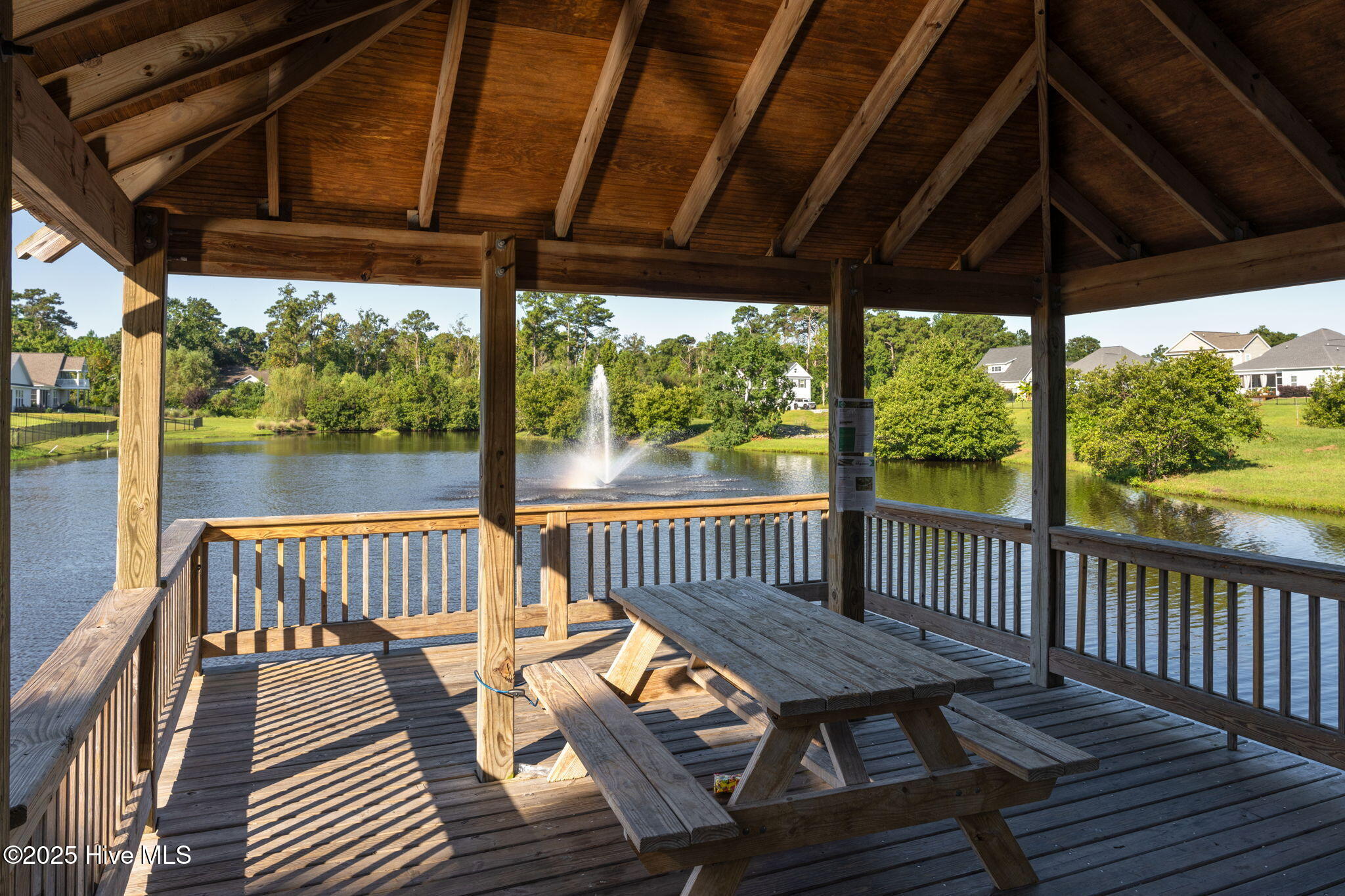 100527863 | Photo 63