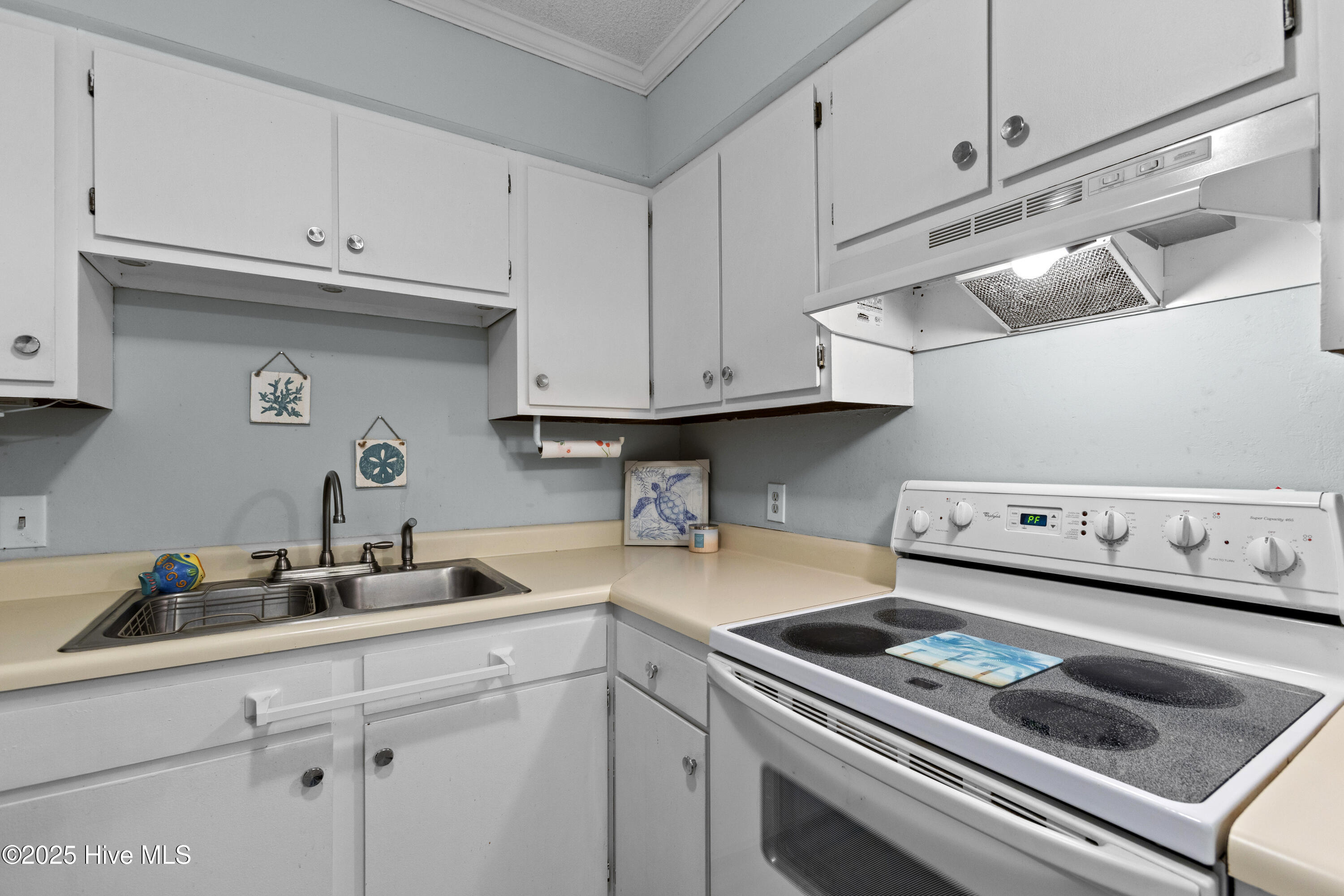 100514890 | Photo 14