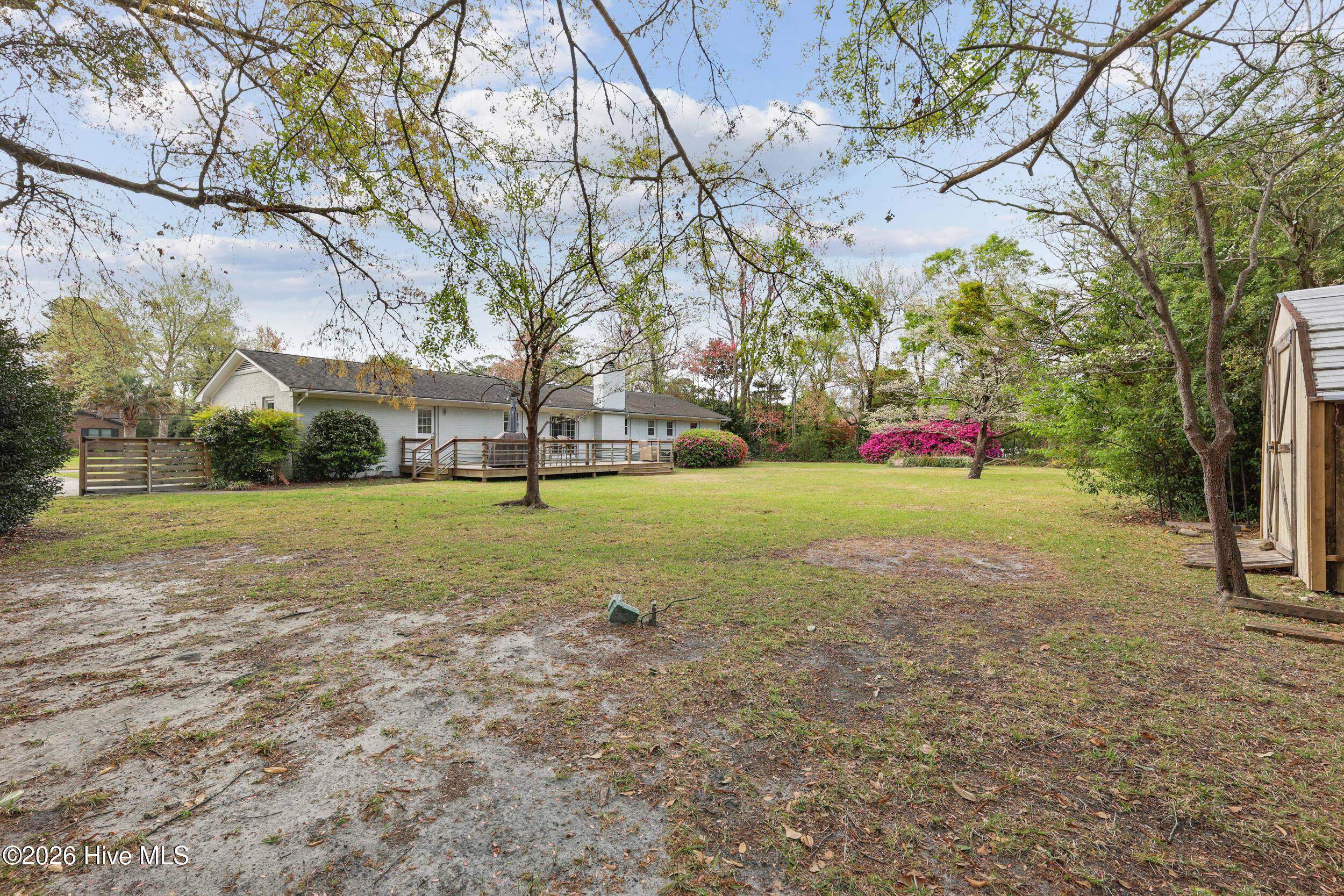 100564649 | Photo 18