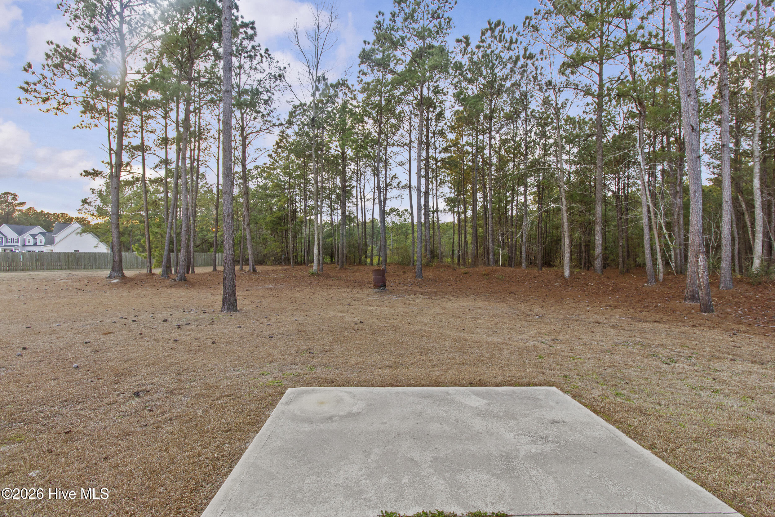 100552565 | Photo 28