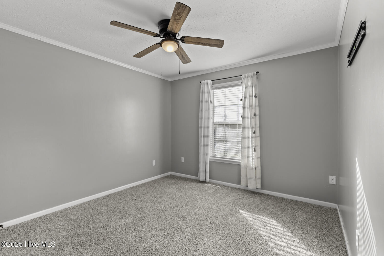 100545745 | Photo 24