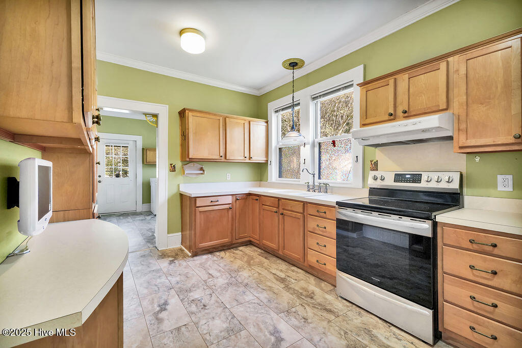 100538135 | Photo 15