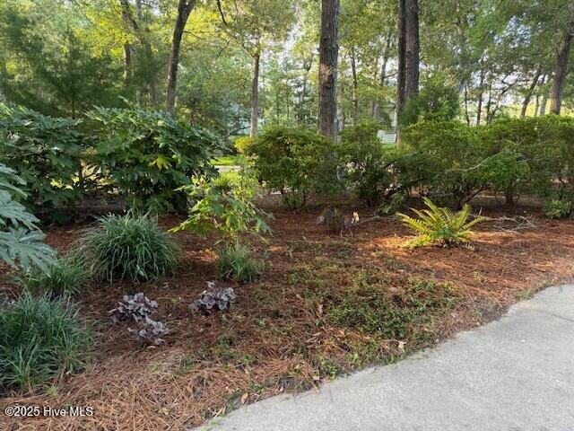 100538166 | Photo 47