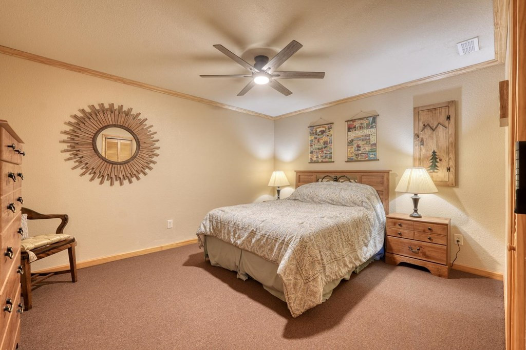 249 Buck Ridge Drive, Murphy, NC 28906 Listing Photo  45