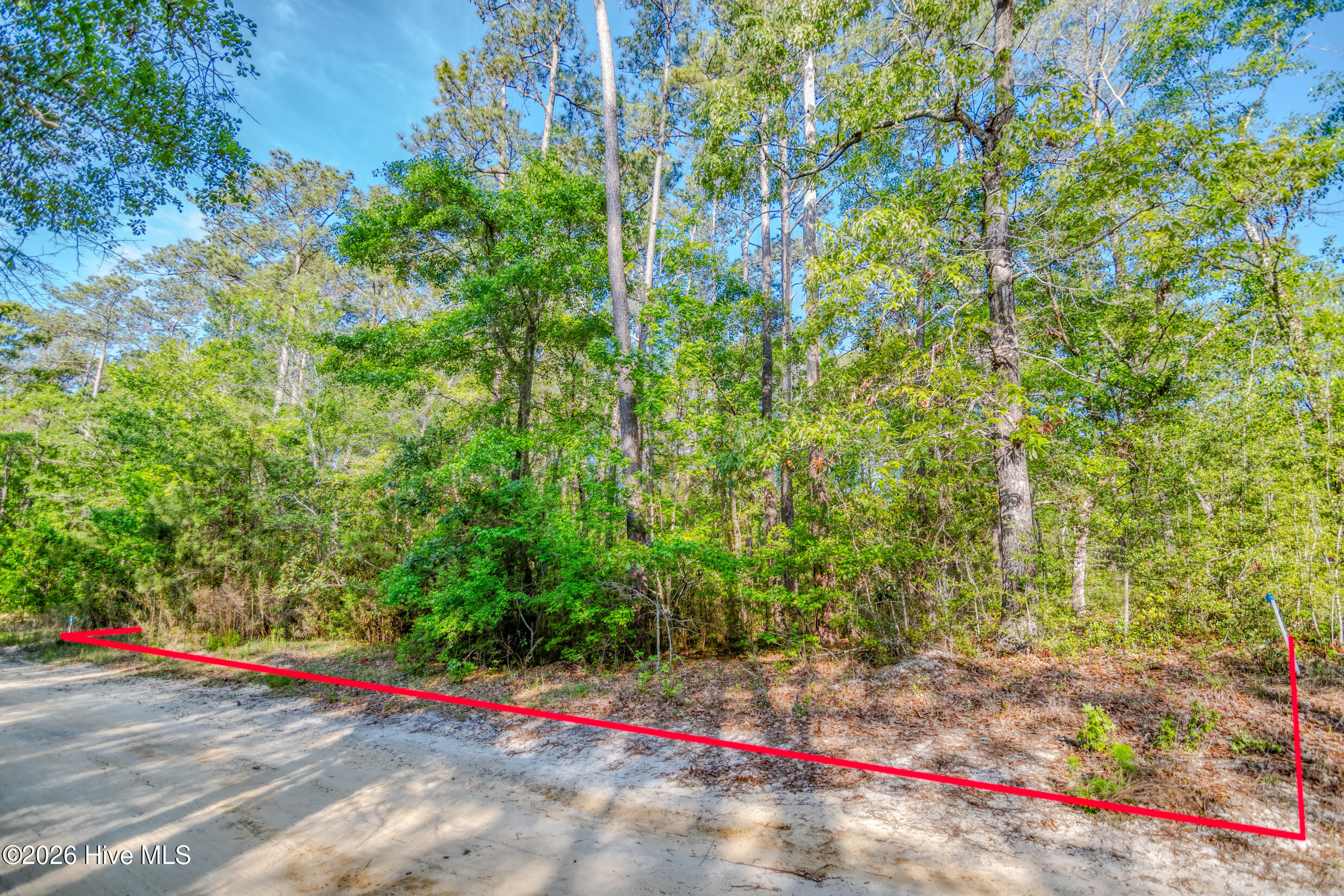 100568893 | Photo 11