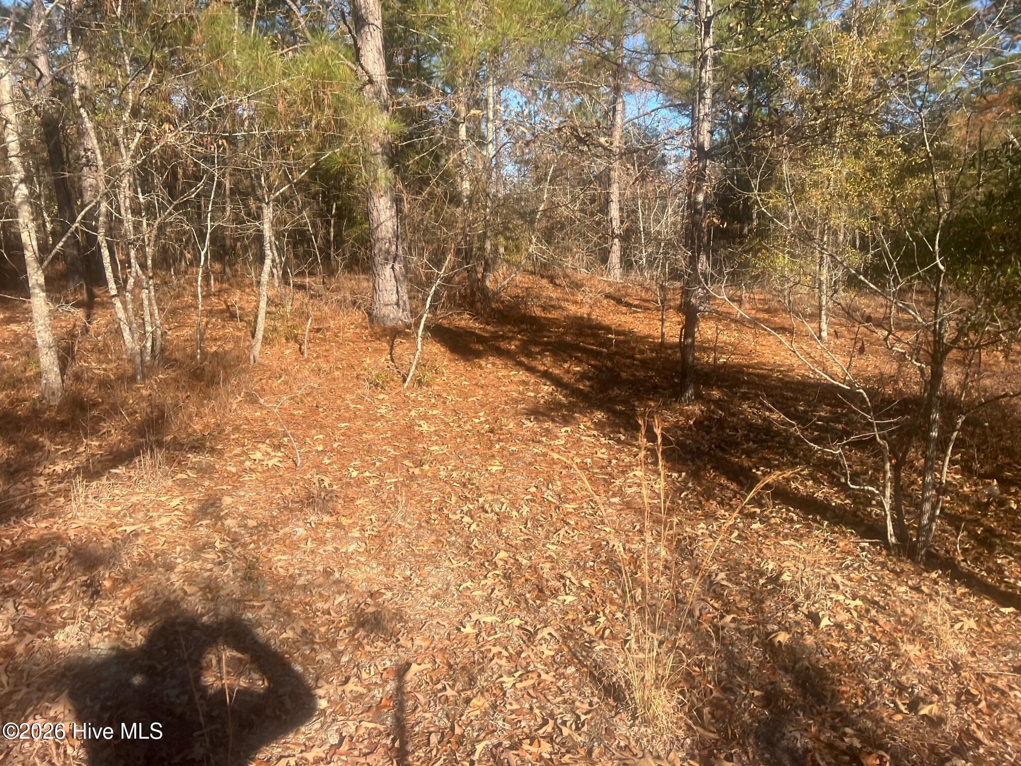 Homes for sale in Hephzibah, GA | 0 Golden Eagle Ln, Hephzibah, GA 30815 | MLS# 100574625