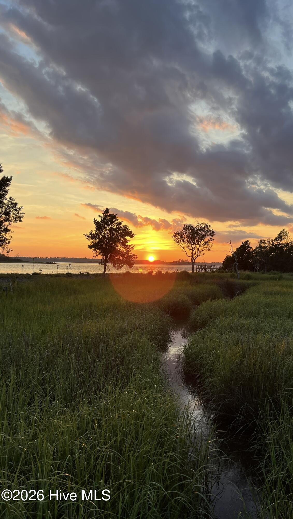 100554474 | Photo 46