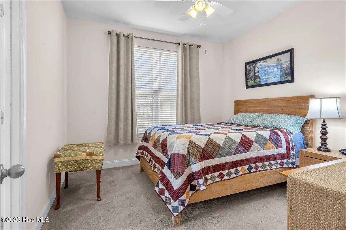 100541997 | Photo 24