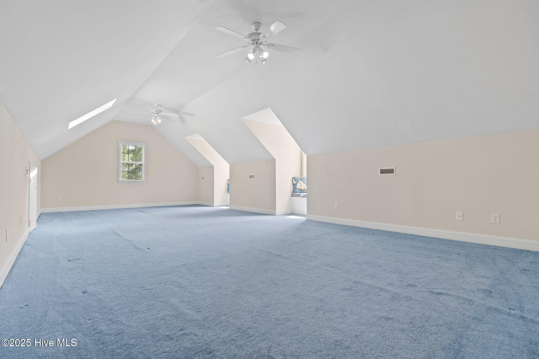 100523861 | Photo 37