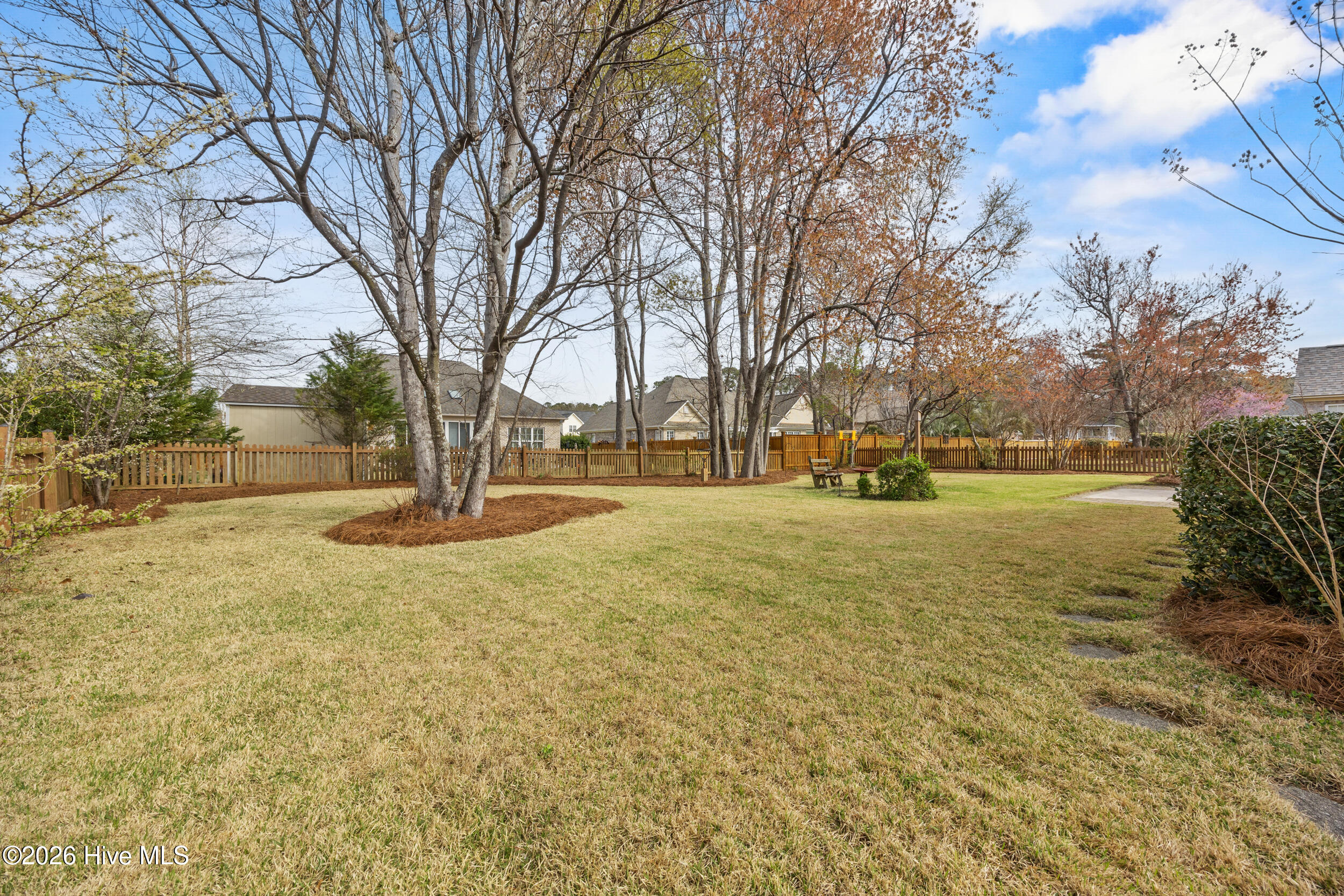 100564950 | Photo 39