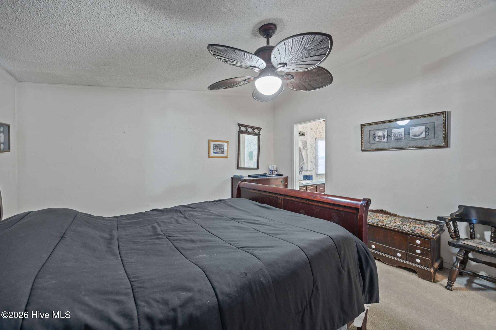 100554674 | Photo 19