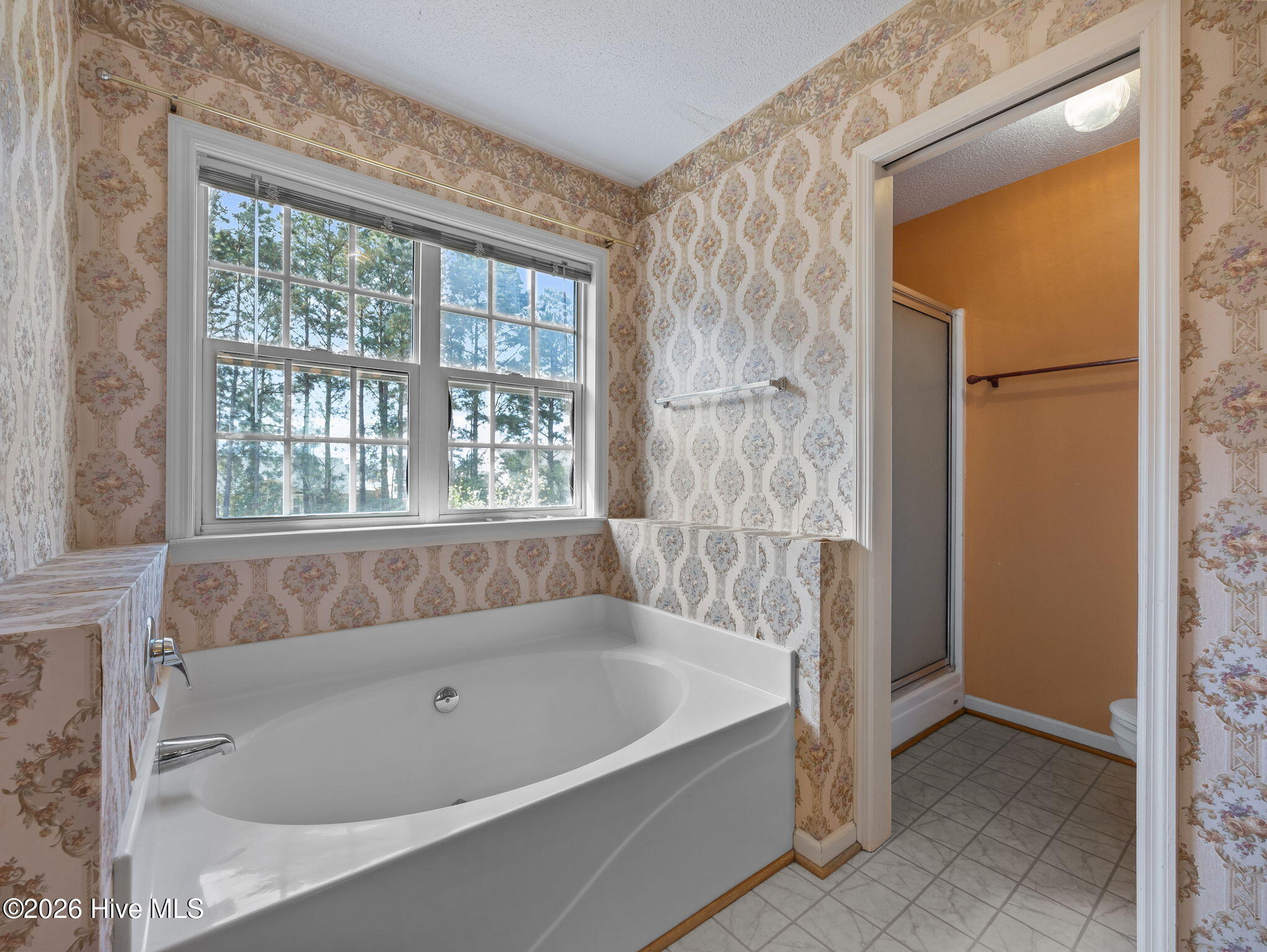 100565135 | Photo 32