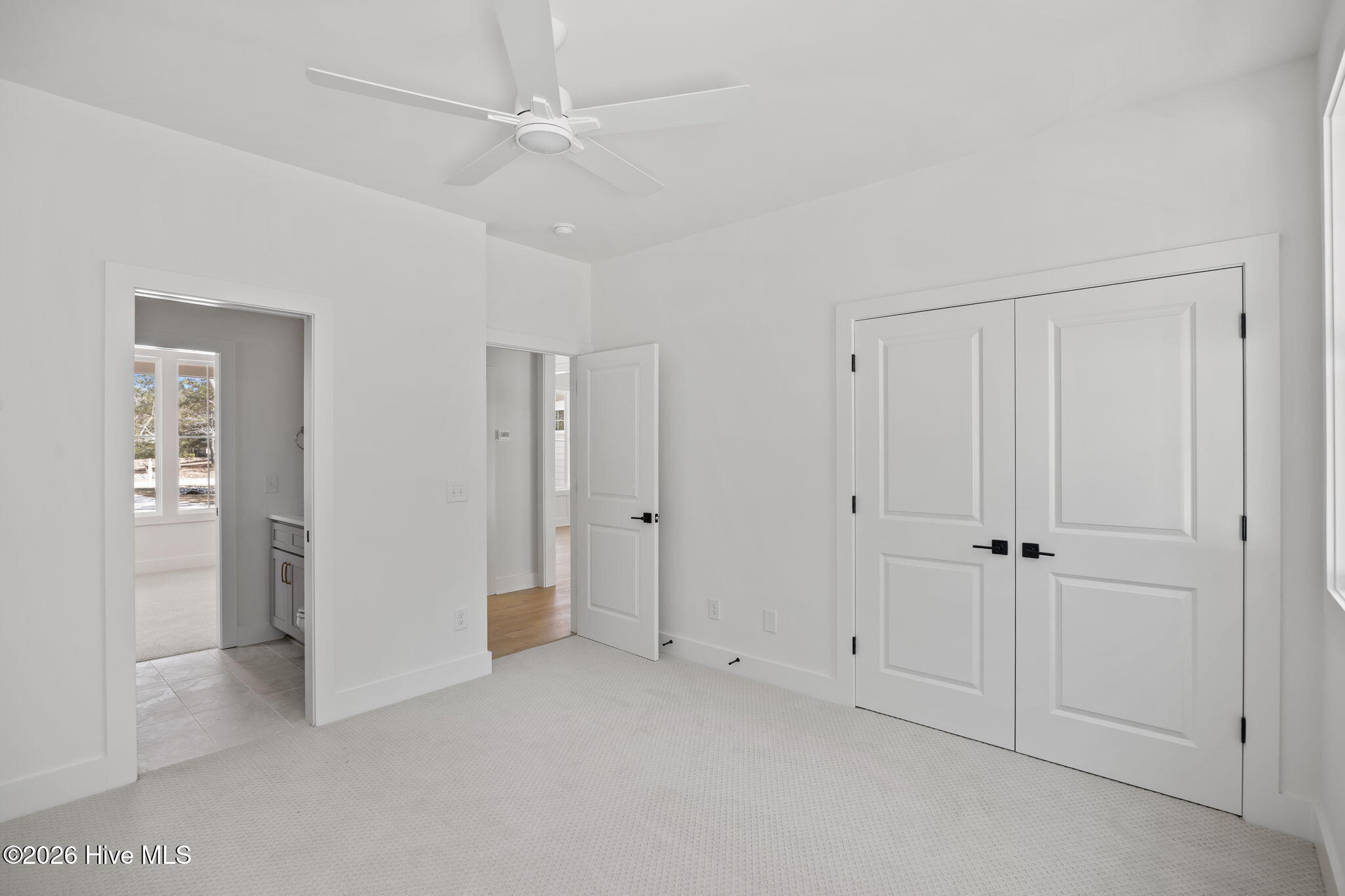 100559098 | Photo 32