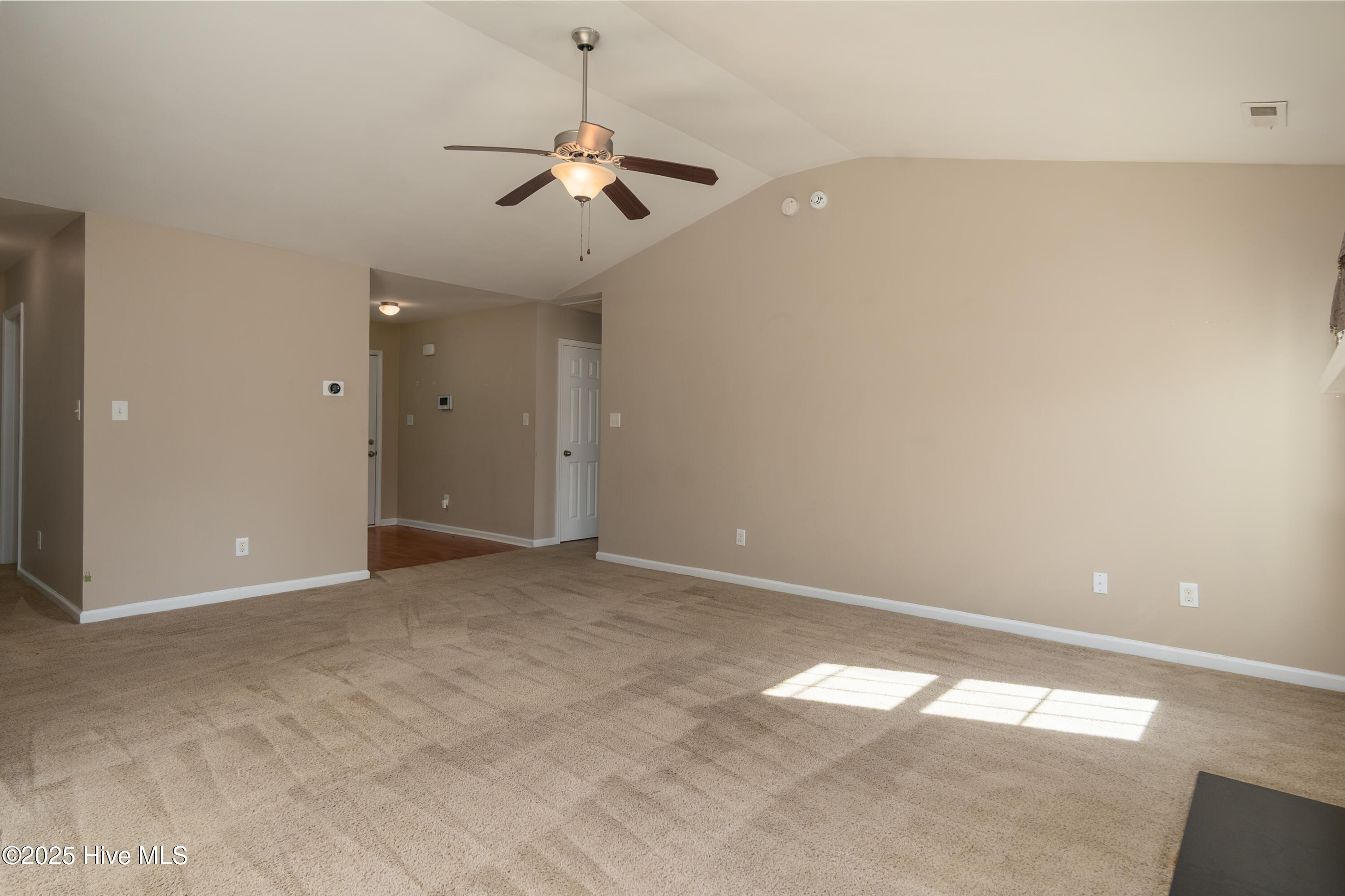 100542382 | Photo 13