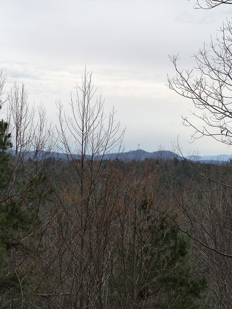 Long-range view from deck