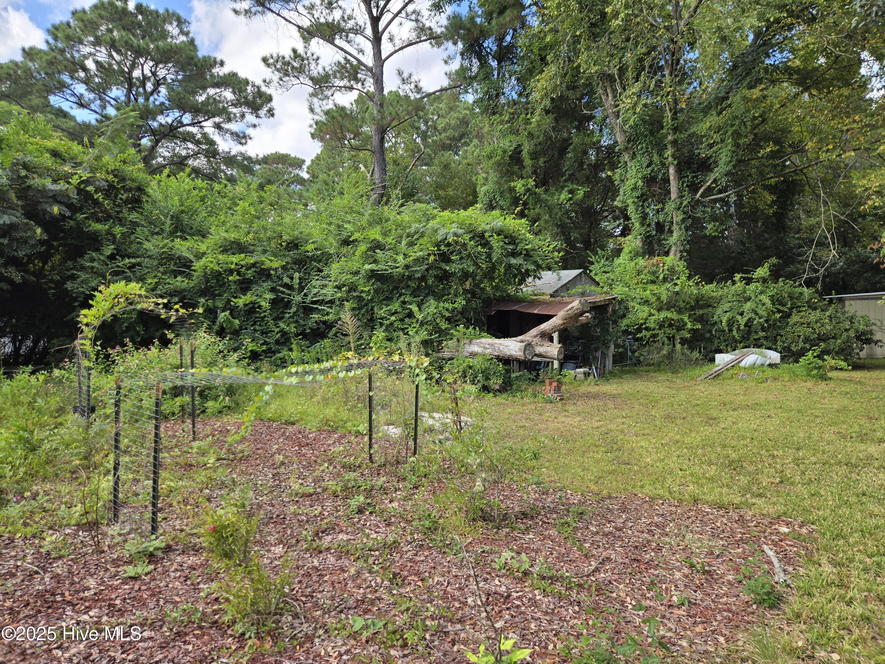 100531418 | Photo 42