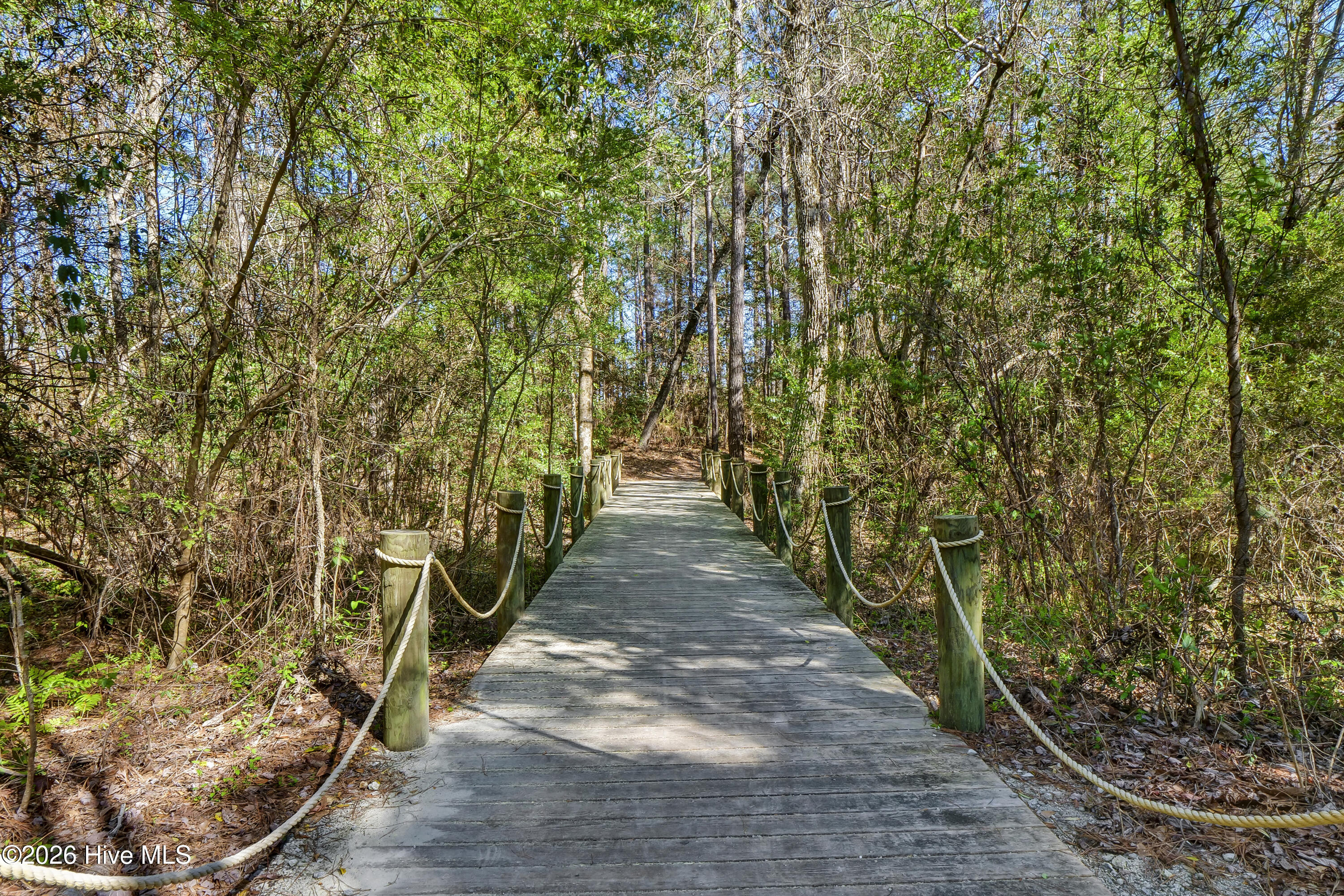 100563138 | Photo 29