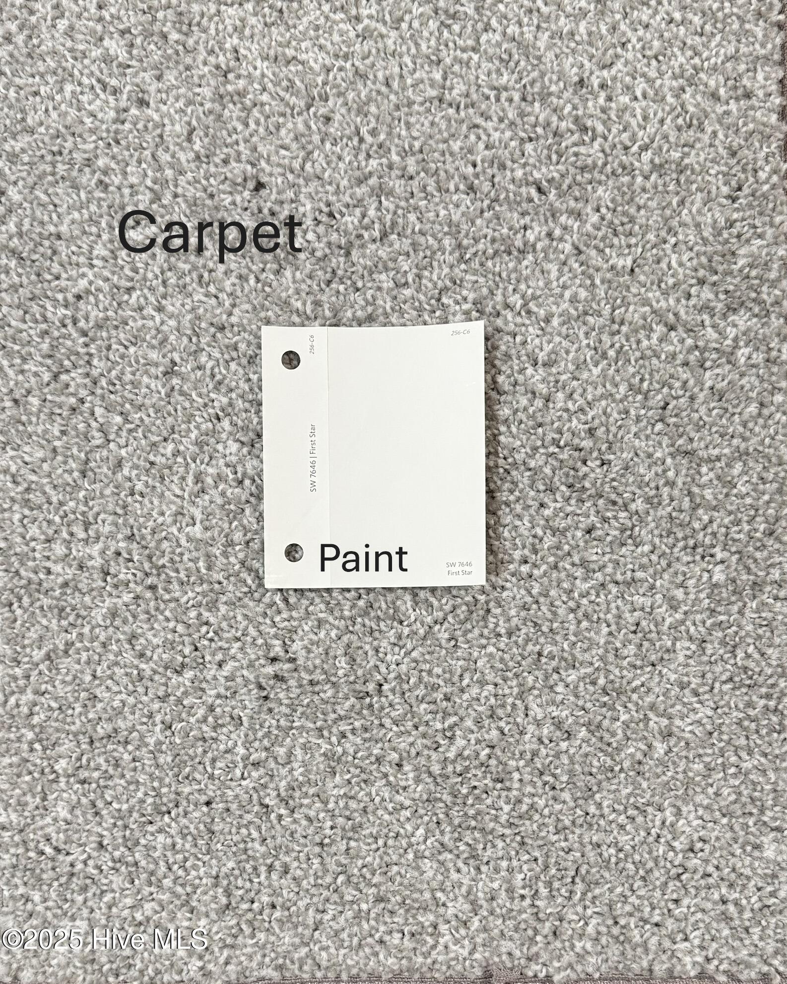 CS506 Carpet Paint