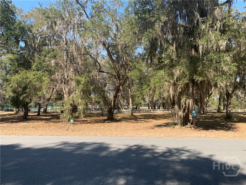 Homes for sale in Townsend, GA | 50 Ac Hidden Lagoon Ln Ne, Townsend, GA 31331 | MLS# SA319552