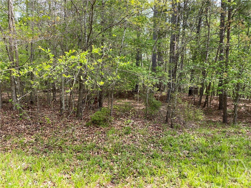 2B Curry Falls Trail Road UNIT 2B, Athens, GA, 30607