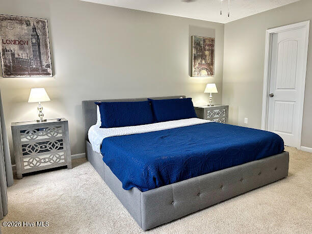 100560235 | Photo 41