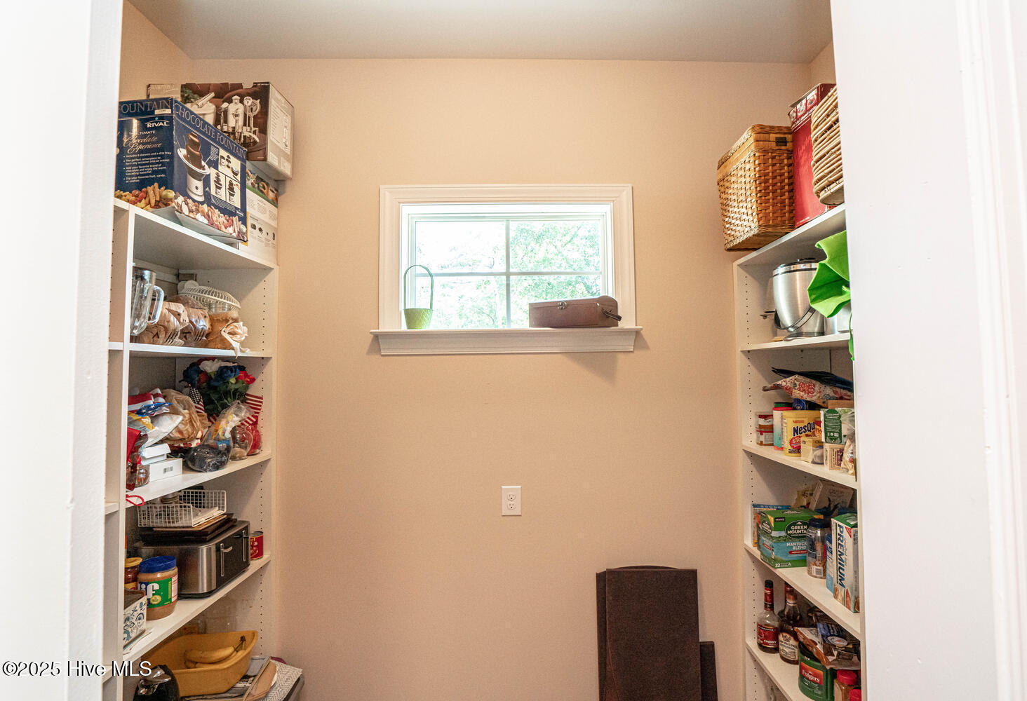 100534571 | Photo 28