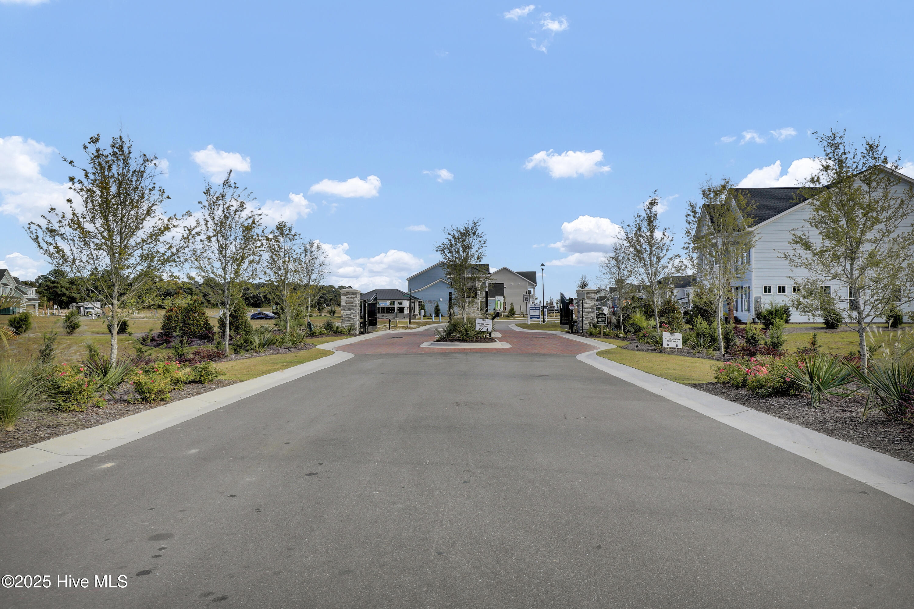 100539864 | Photo 34