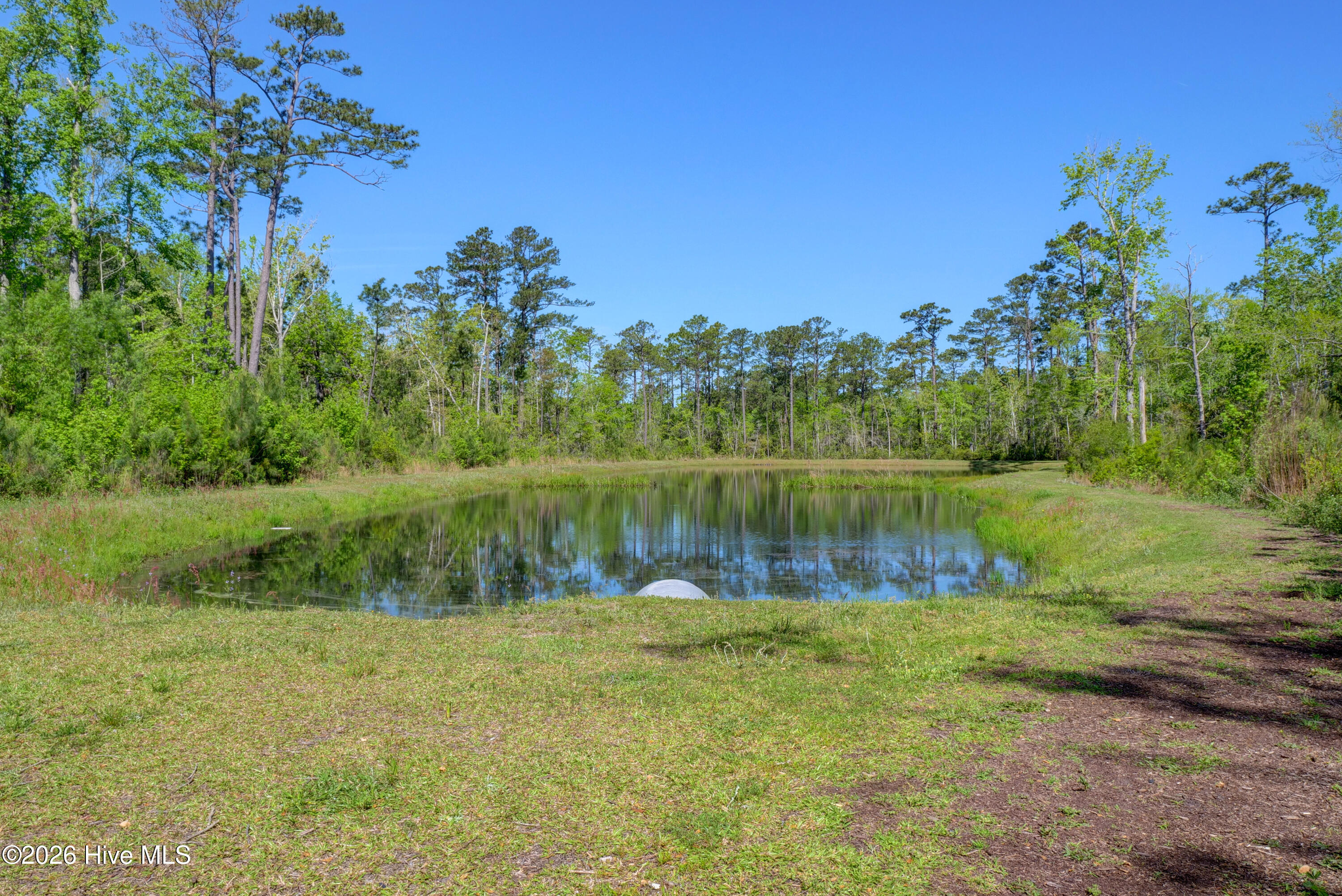 100556478 | Photo 62