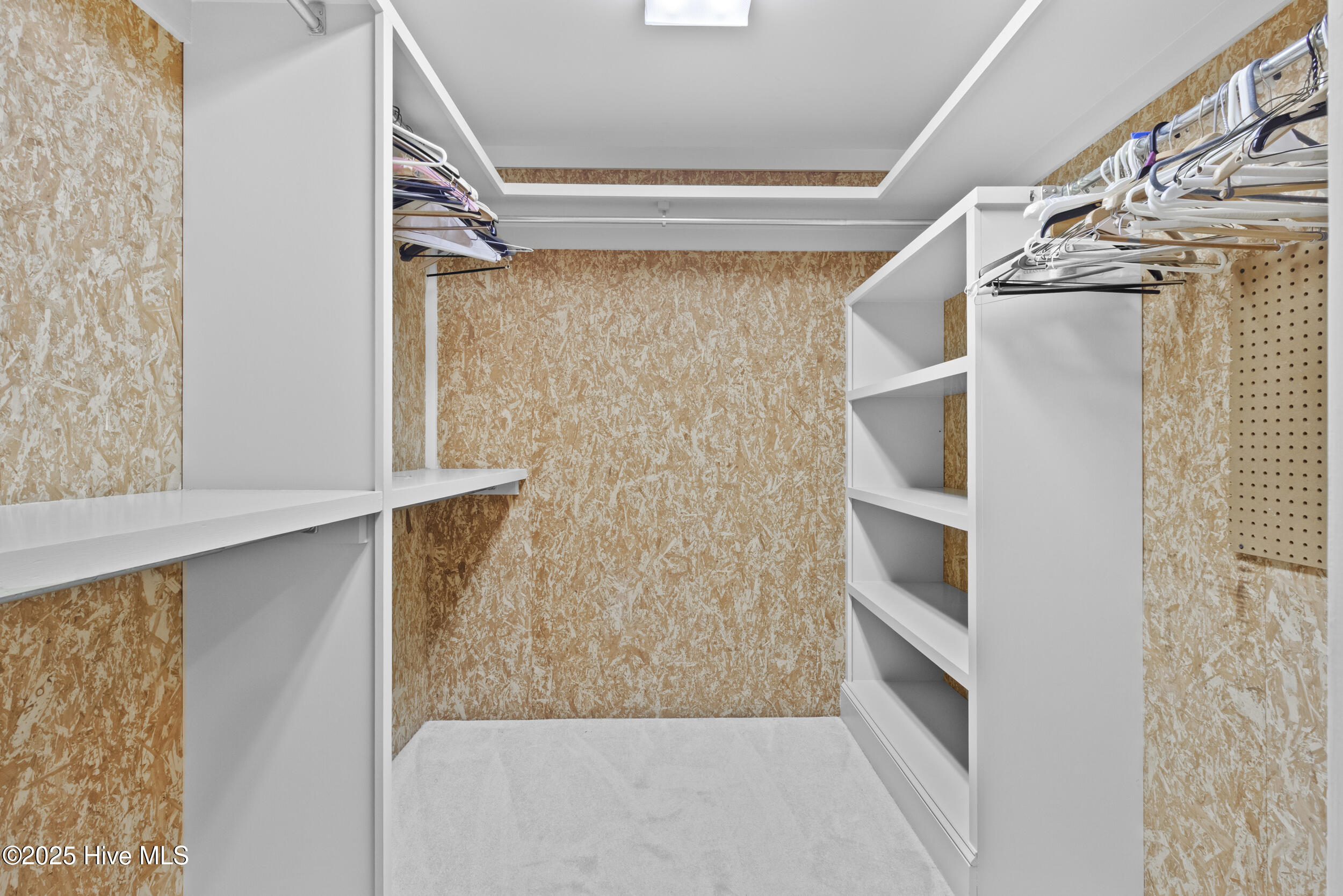 100516126 | Photo 44