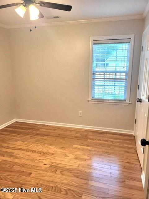 100539939 | Photo 24