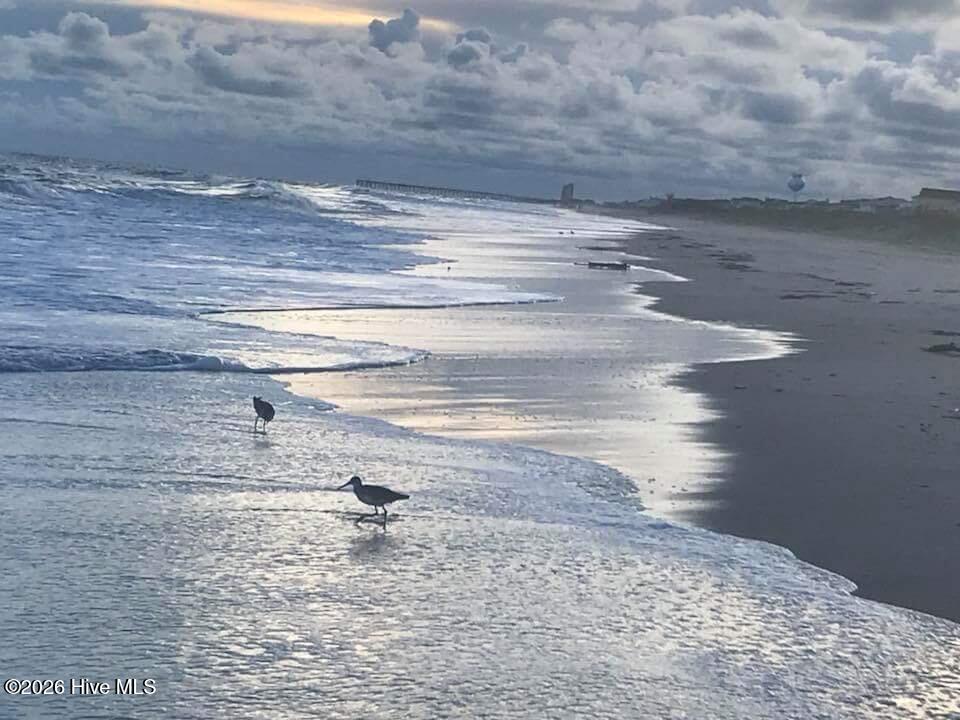 100564948 | Photo 73