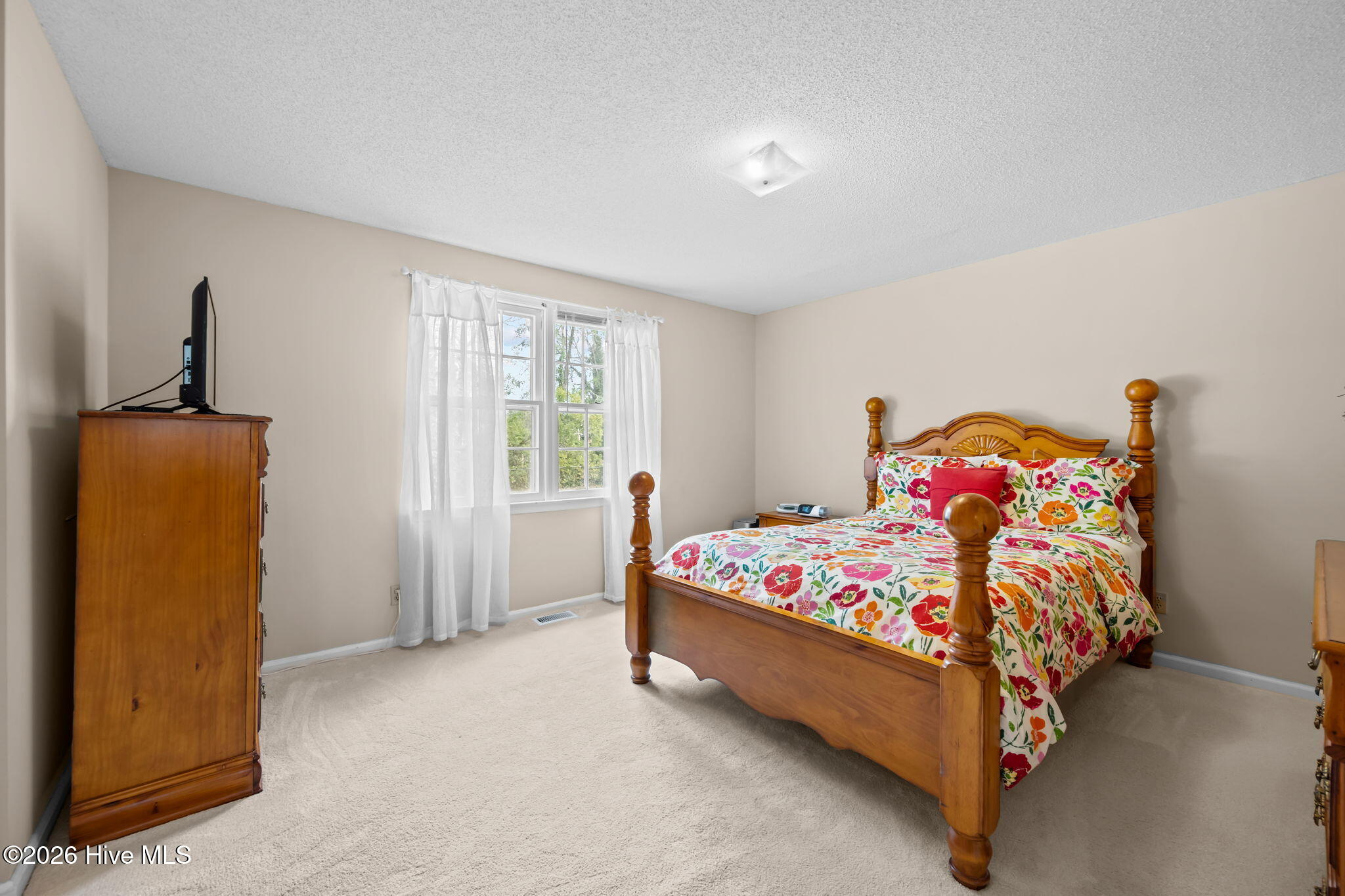 100555797 | Photo 22