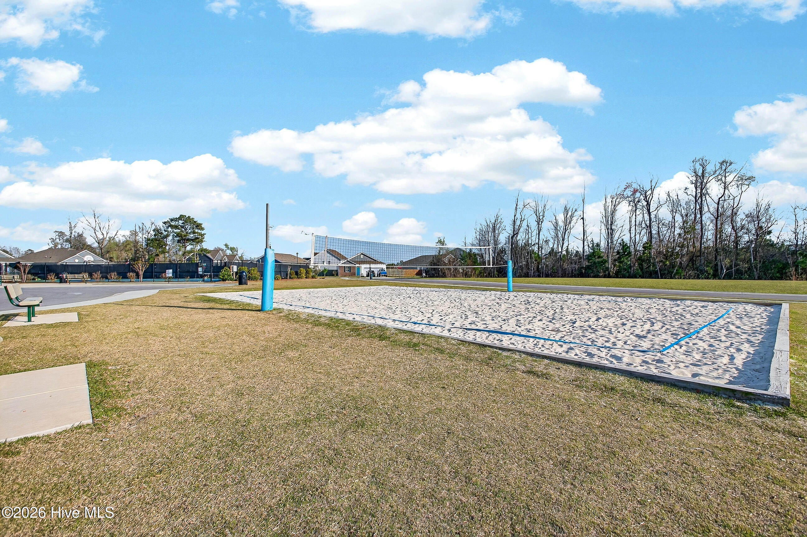 100562983 | Photo 44