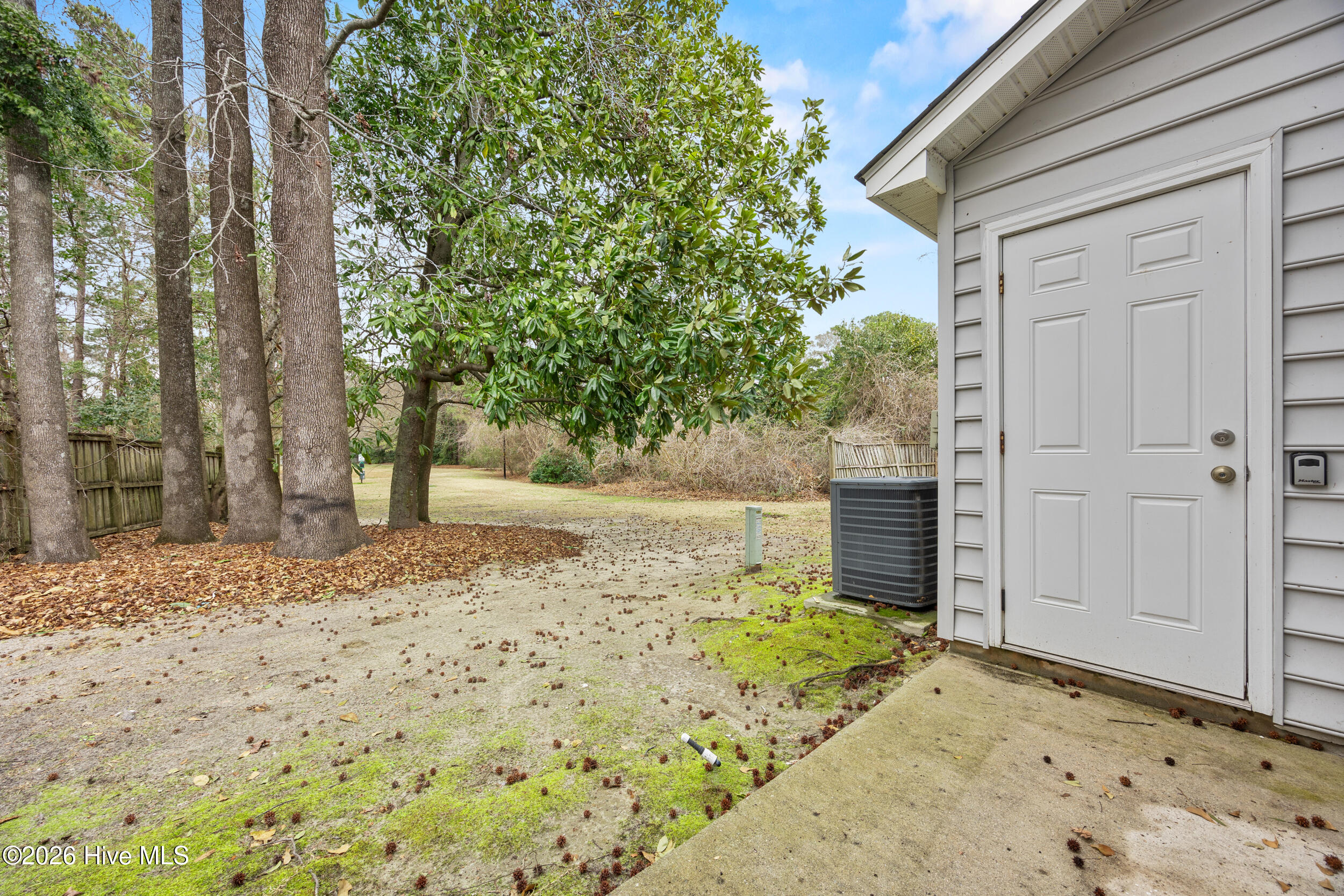 100567822 | Photo 43