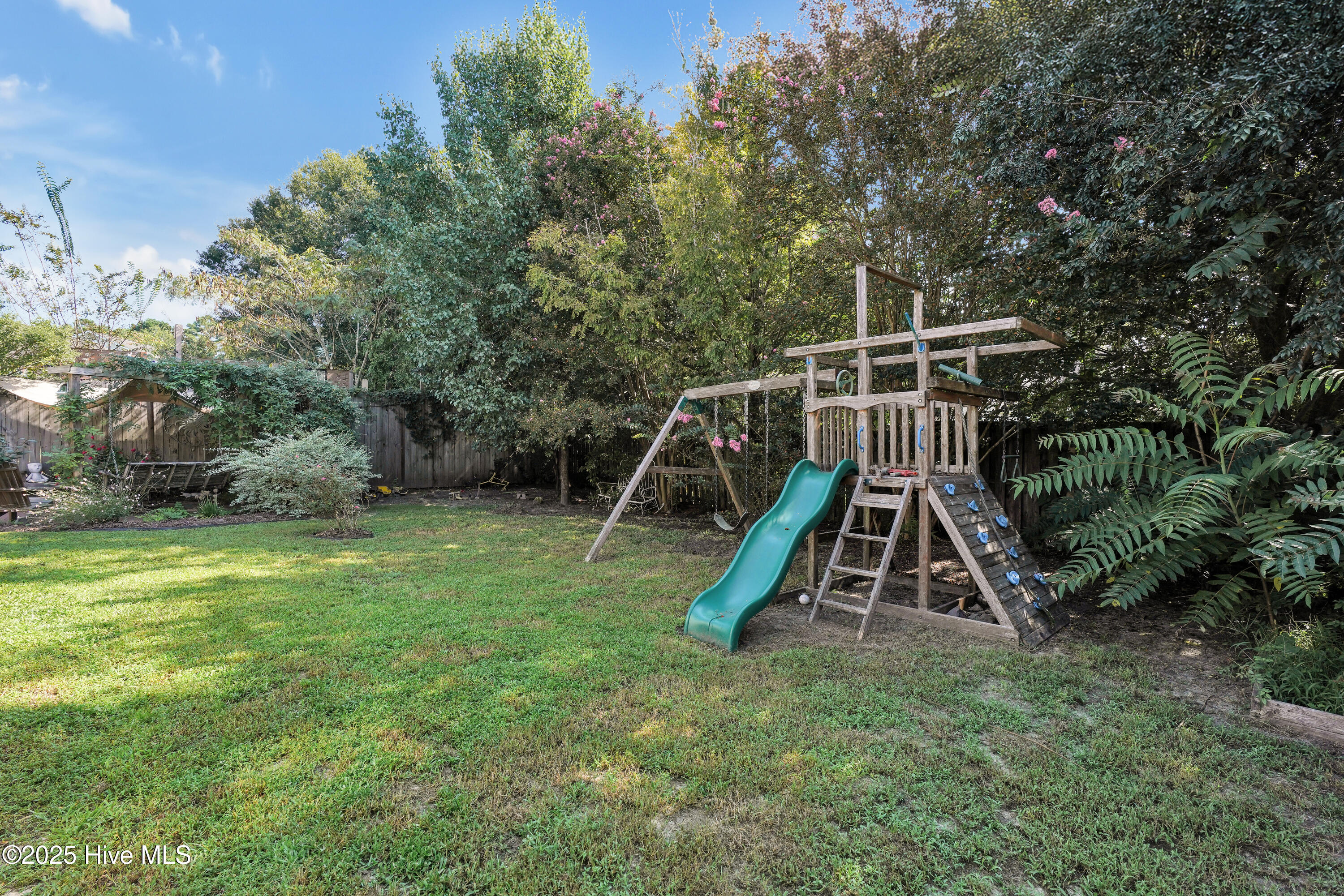 100525985 | Photo 30